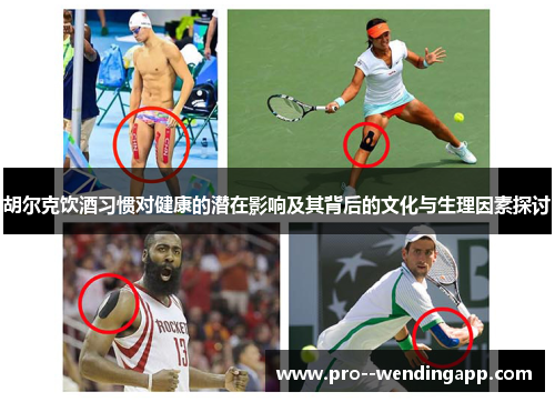 胡尔克饮酒习惯对健康的潜在影响及其背后的文化与生理因素探讨