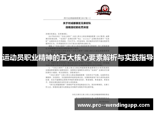 运动员职业精神的五大核心要素解析与实践指导