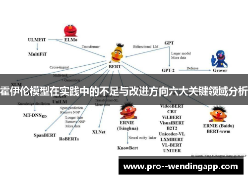 霍伊伦模型在实践中的不足与改进方向六大关键领域分析