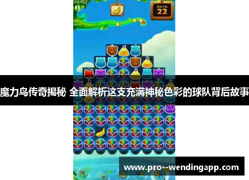 魔力鸟传奇揭秘 全面解析这支充满神秘色彩的球队背后故事