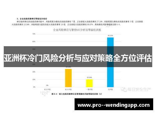 亚洲杯冷门风险分析与应对策略全方位评估 亚洲杯冷门风险分析与应对策略全方位评估