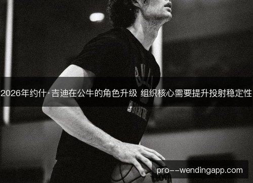 2026年约什·吉迪在公牛的角色升级 组织核心需要提升投射稳定性